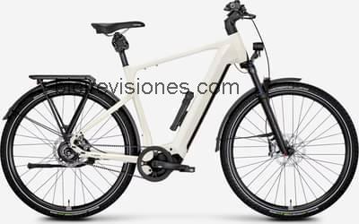 Rose mayor plus 4 ficha tecnica 